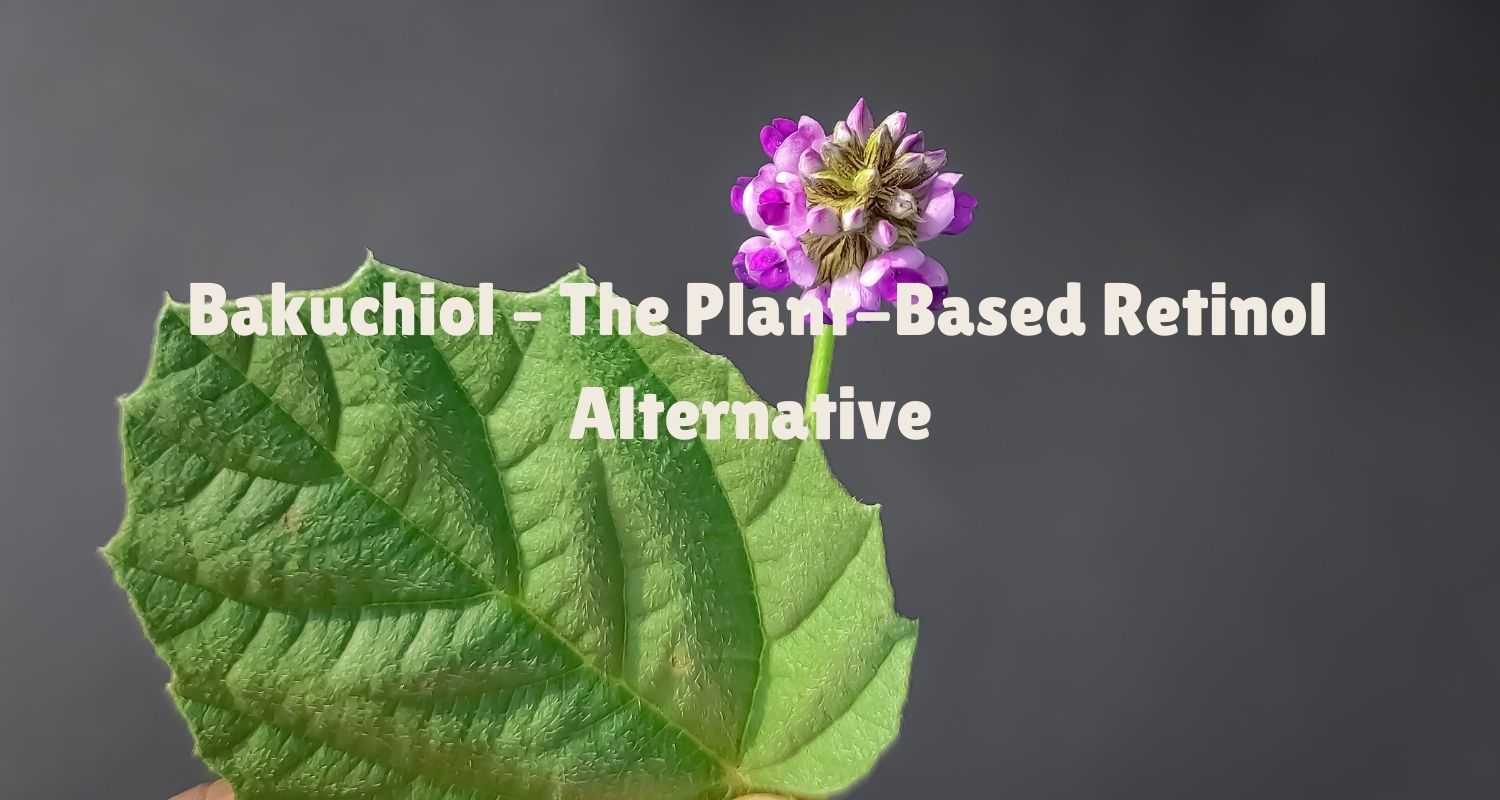 Bakuchiol: Nature's Answer to Retinol for Youthful, Vibrant Skin