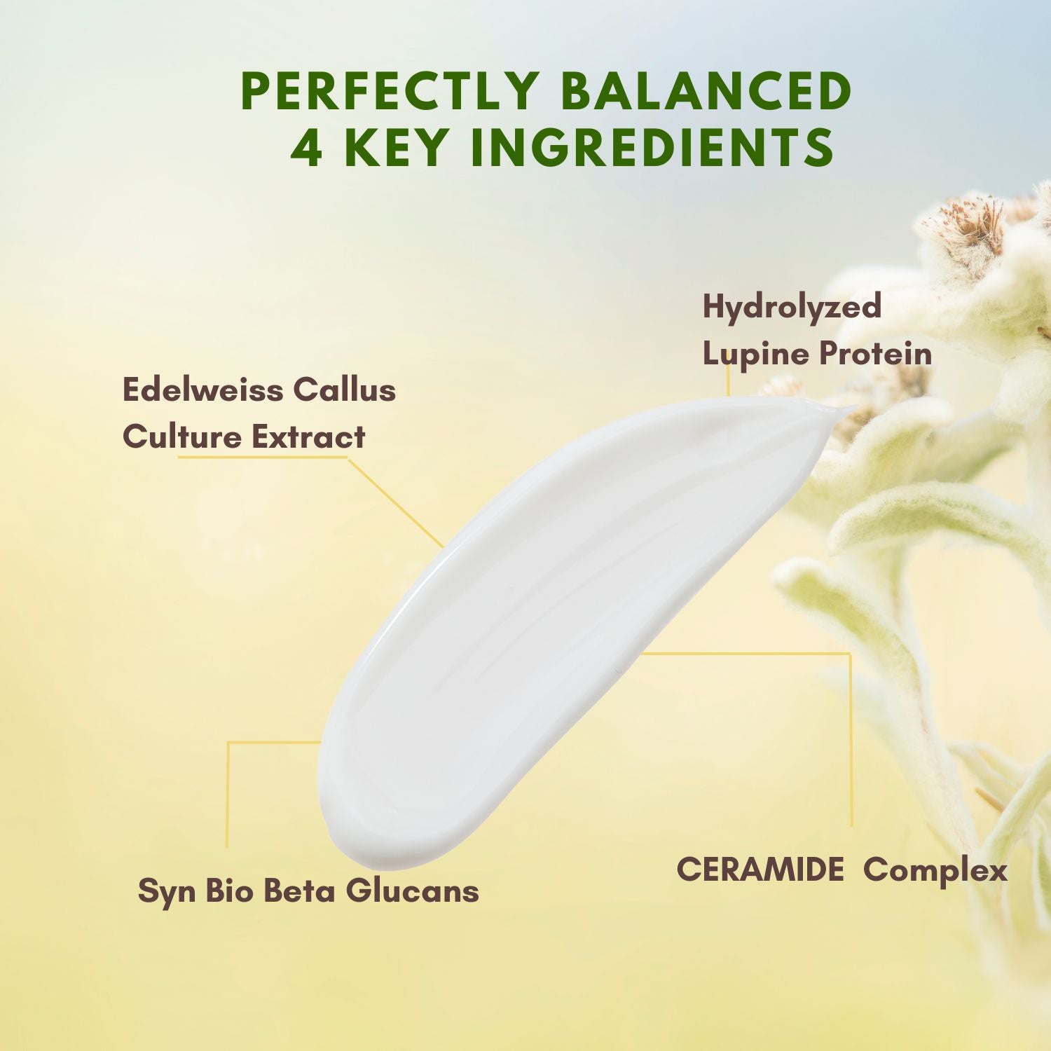 Oattbe Syn Bio B-Glucans Eye cream