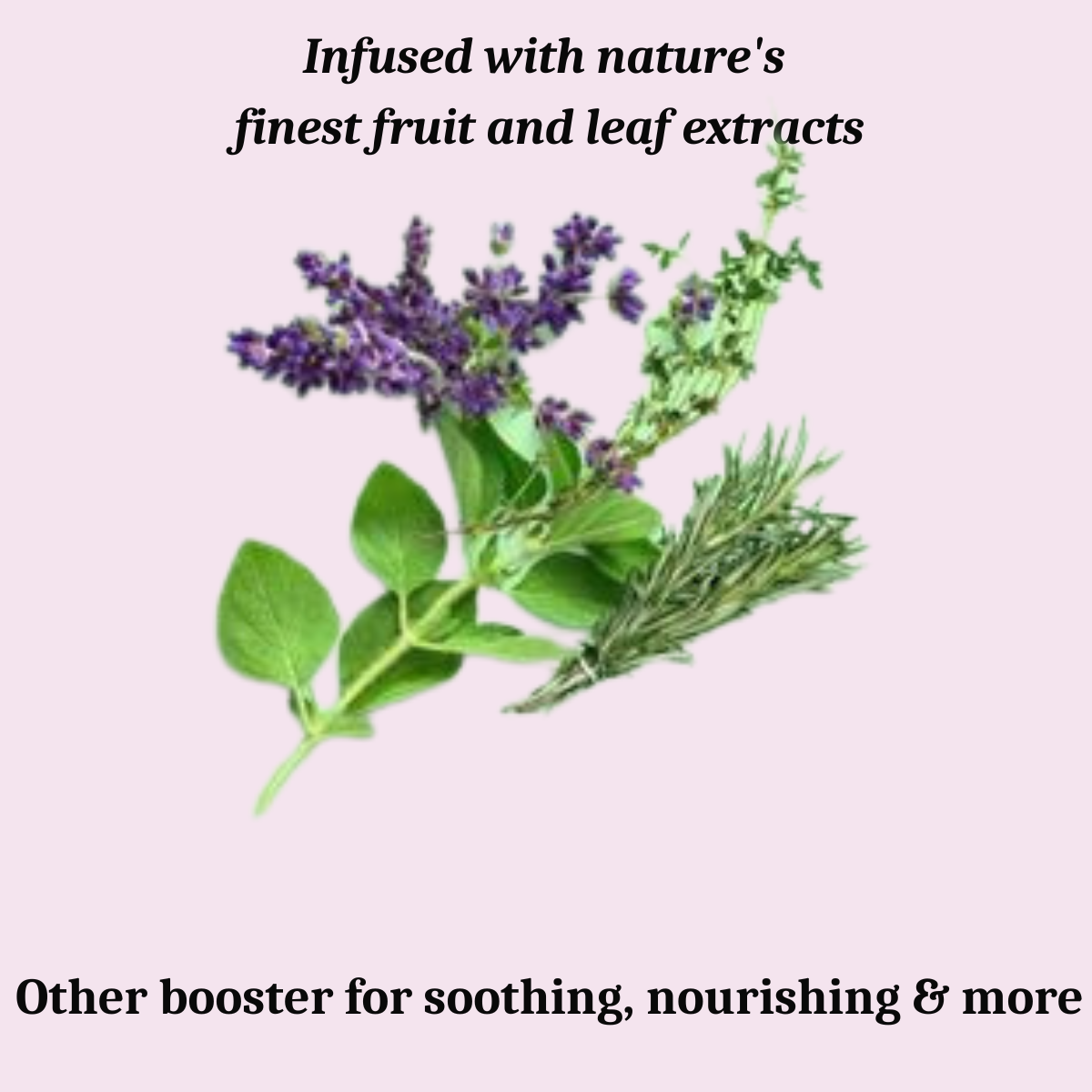 Infused with nature's finest fruit and leaf extracts