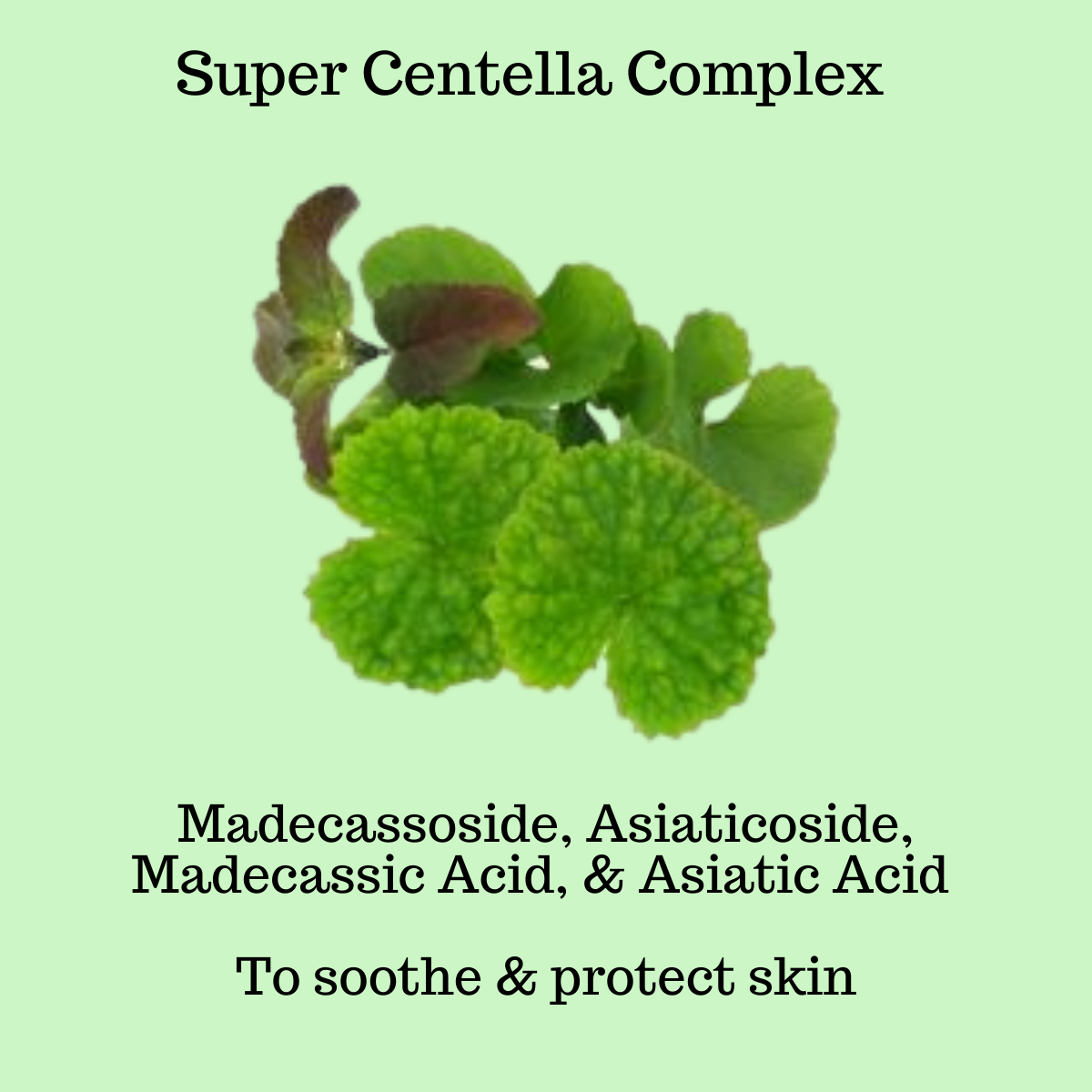 Super Centella Complex, Madecassoside, Asiaticoside, Madecassic Acid, & Asiatic Acid To soothe & protect skin