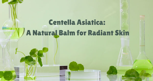 "Centella Asiatica: A Natural Balm for Radiant Skin" 1. "Soothing Your Skin, Naturally"-The Soothing Touch of Centella Asiatica